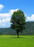 風景写真