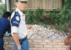 国際平和協力法(PKO協力法)